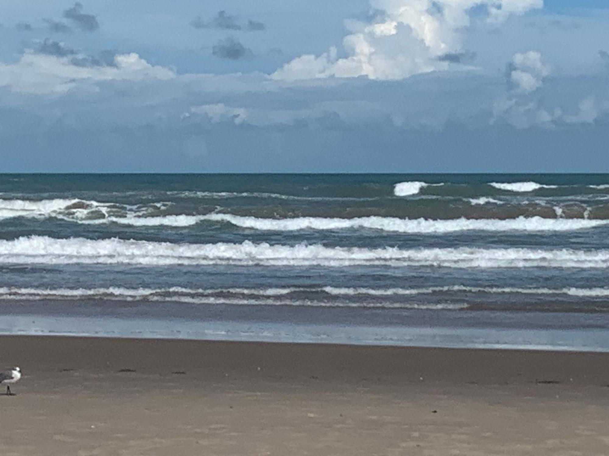 Jjs Beach Condo South Padre Island Exteriör bild